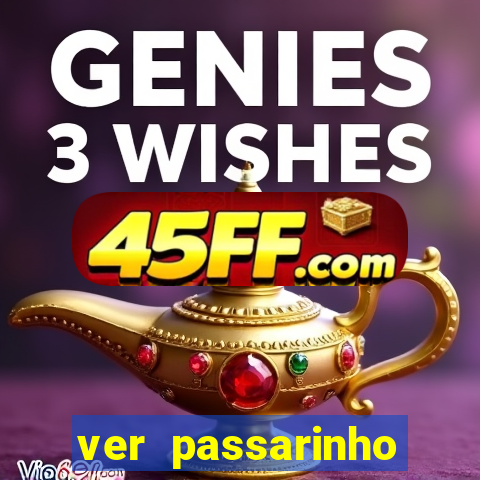 ver passarinho morto significado espiritual